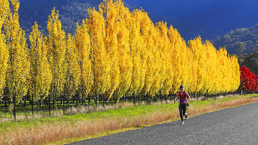Autumn RunnerPhotography by Brian Paatsch